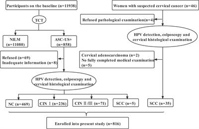 hnRNP E1 Regulates HPV16 Oncogene Expression and Inhibits Cervical Cancerization